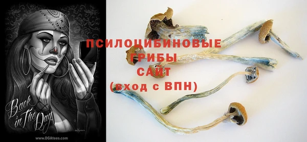 МДПВ Абаза