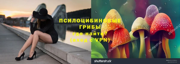 гашик Иннополис