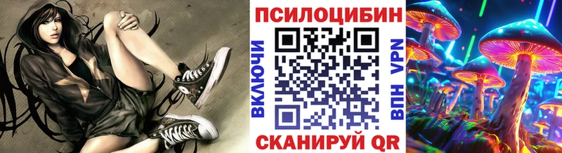блэк спрут вход  Кашира  Галлюциногенные грибы Magic Shrooms 